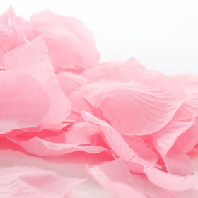 Rosenblütenblätter rosa damascena getrocknet rot  von Fantasia Aroma