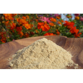 Potenzholz von Fantasia Aroma - Muira puama -Ptychopetalum olacoides