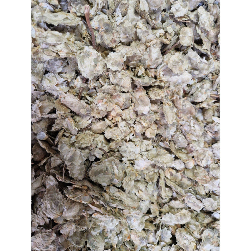 Hopfenblüten ganz Hopfentee Humulus lupulus von Fantasia Aroma