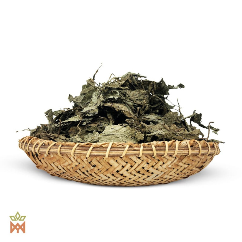 Salvia Divinorum – Ganze Blätter aus Oaxaca Mexiko