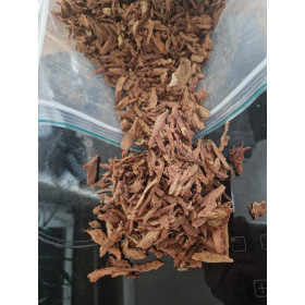 Mukanya Kude (Acacia Xanthophloea) Gelbrinden-Akazie von Fantasia Arom