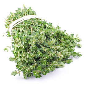 Zitronen-Thymian Öl  Lemon Thyme Öl Thymus citriodorus naturreines äth