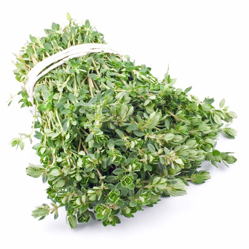 Zitronen-Thymian Öl  Lemon Thyme Öl Thymus citriodorus naturreines äth