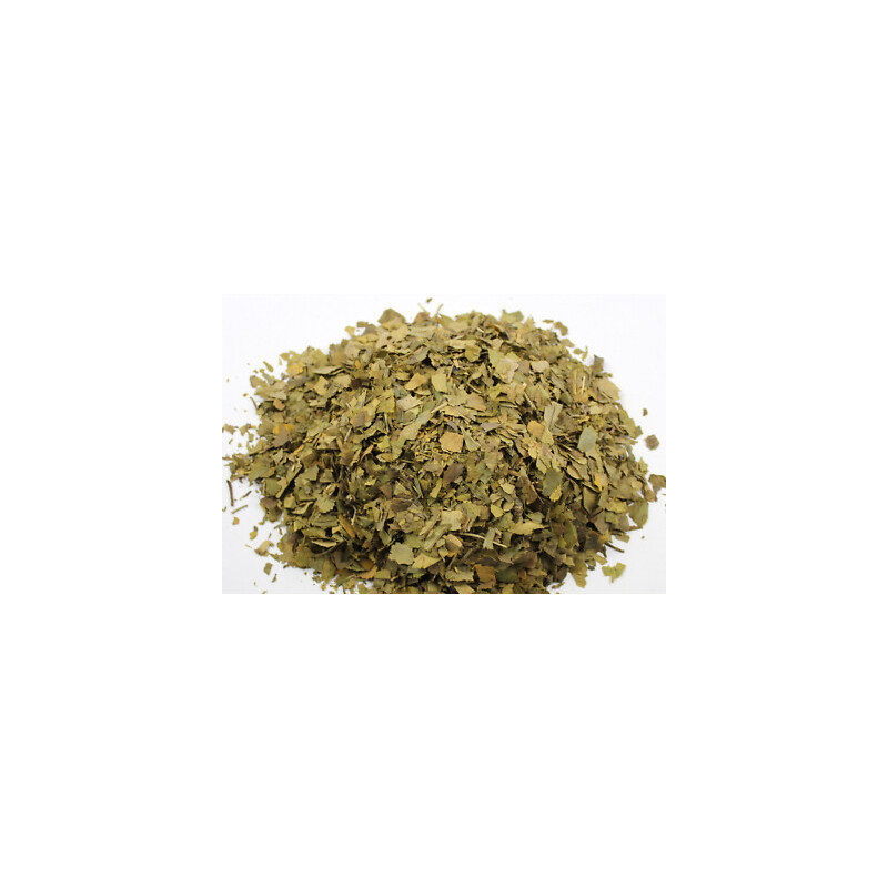 Ginkgoblätter chinesisch Ginkgo biloba geschnitten
