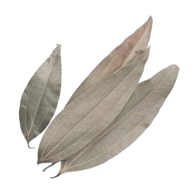 Tamala ätherisches Öl (Indisches Bay Leaf Öl) Tejpatta Oil Cinnamomum