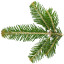 Tannennadelöl Weißtanne Abies Alba Edeltanne naturreines Öl