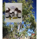 Eukalyptusöl naturrein - 100% ätherische Öle "Mäc Spice"