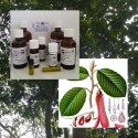 Gurjun Balsam / Gurjunöl 100% naturreines ätherisches Öl von Mäc Spice
