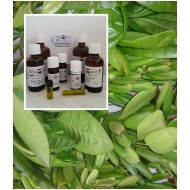 Pimentblätteröl Pimenta officinalis 100% naturreine Öle von Mäc Spice