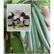 Vanilleöl Vanilla planifolia - Reines Vanilleöl 100% naturreines Öl
