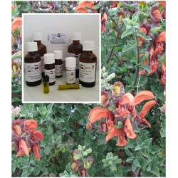 Salbeiöl 100% ätherisches Öle von Mäc Spice