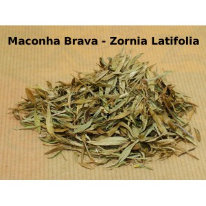 Macohna Brava (Zornia latolia)