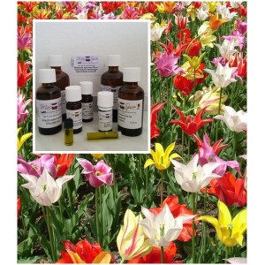 Tulpenöl Tulpen-Absolute 100% naturrein ätherisches Öl Mäc Spice