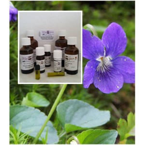 Veilchenöl naturrein Frankreich Viola odoráta von "Mäc Spice"