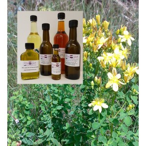 Johanniskrautöl Basis Olivenöl 1000 ml - das besondere Öl von mac-spice Olivenöl