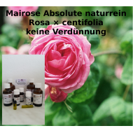 Mairosen Öl Absolute keine Verdünnung Rosa × centifolia Mäc Spice naturrein