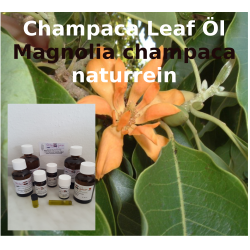 Champaca Öl Magnolia champaca "Mäc Spice" naturrein aus Blättern