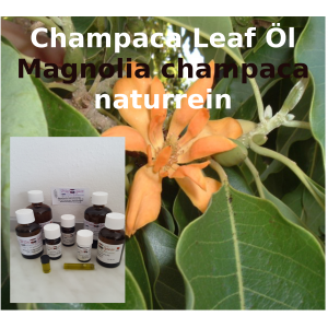 Champaca Öl Magnolia champaca "Mäc Spice" naturrein aus Blättern