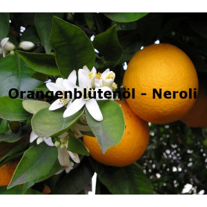 Orangenblüte - Neroli