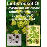 Liebstöckelöl naturreines Levisticum officinale von "Mäc Spice"