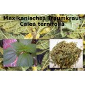 Traumkraut mexikanisch Calea zacatechichi  100% reine Naturkräuter "Mäc Spice"