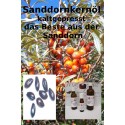 Sanddornkernöl kaltgepresst Hippophae rhamnoides "Mäc Spice"