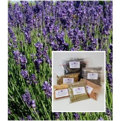 Lavendelblüten französisch 1 A Qualität Tee oder Duftkissen "Mäc Spice"