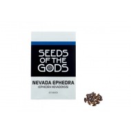 Nevada ephedra (Ephedra nevadensis) Samen 20 Samen Packung