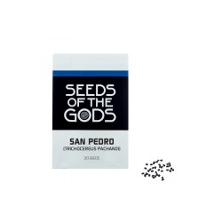 San Pedro (Echinopsis pachanoi) Samen 20 Samen Packung