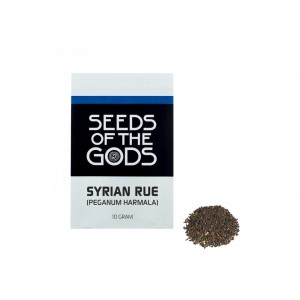 Syrische Steppenraute (Peganum harmala) Samen 10 Gramm Samen