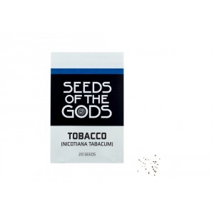 Virginischer Tabak (Nicotiana tabacum) Samen 20 Samen Packung