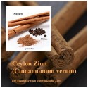 Zimtrinde ceylon (Cinnamomum verum) geschnitten kochen, backen und würzen