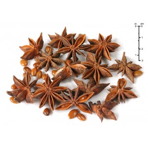Sternanis Echter Sternanis ganz Illicium verum Naturprodukt von Mac Spice