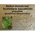 Baikal - Helmkraut (Skullcap) gemahlen Scutellaria baicalensis Aphrodisiakum