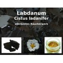 Labdanum Räucherharz Cistus ladanifer 100% natürlich "Mäc Spice" 