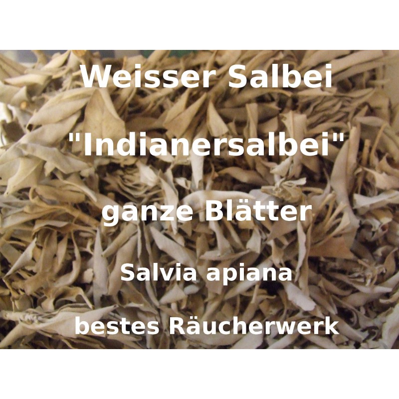 Dalimar Indianischer Weißer Salbei lose Blätter White Sage apiana weiß 40 g 