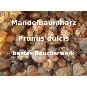 Mandelbaumharz " Harz " Prunus dulcis bestes Räucherwerk von Mäc Spice