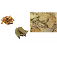 Chacruna - Chaliponga - Caapi