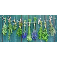 Wir bieten eine umfassende Auswahl an Gewürzkräuter und Heilkräutern