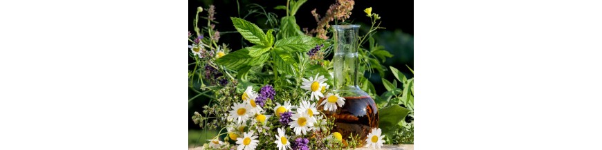 Ätherische Öle ( naturrein )